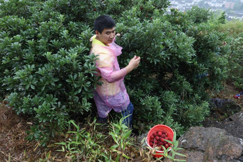 說明: 徐茂來(lái)